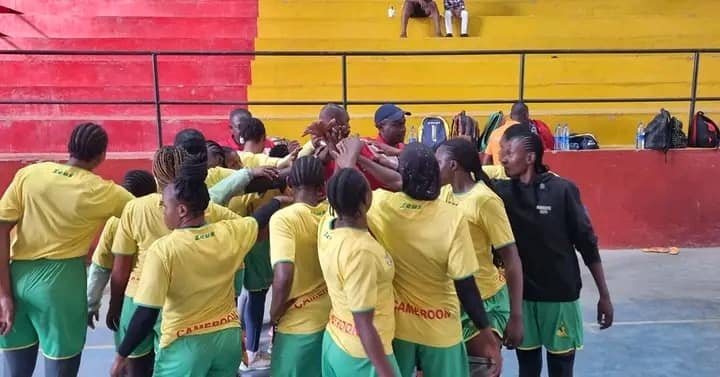 <strong>HANDBALL : LES LIONNES PREPARENT SEREINEMENT LE MONDIAL</strong>