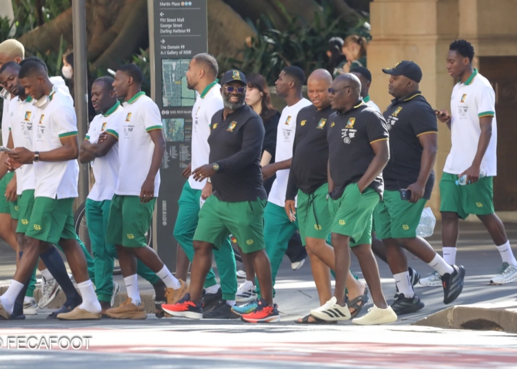 LIONS INDOMPTABLES : POURQUOI LE CAMEROUN ZAPPE LA TRÊVE FIFA DE JUIN